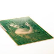 Saint John the Baptist PCB