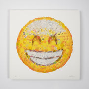 Mixed Emotions (Grin)